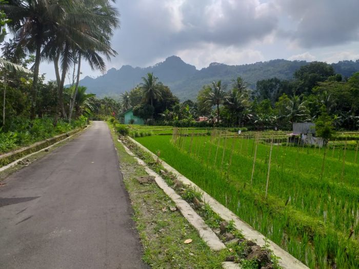 Jalan Mulus Ekonomi Gerak 02